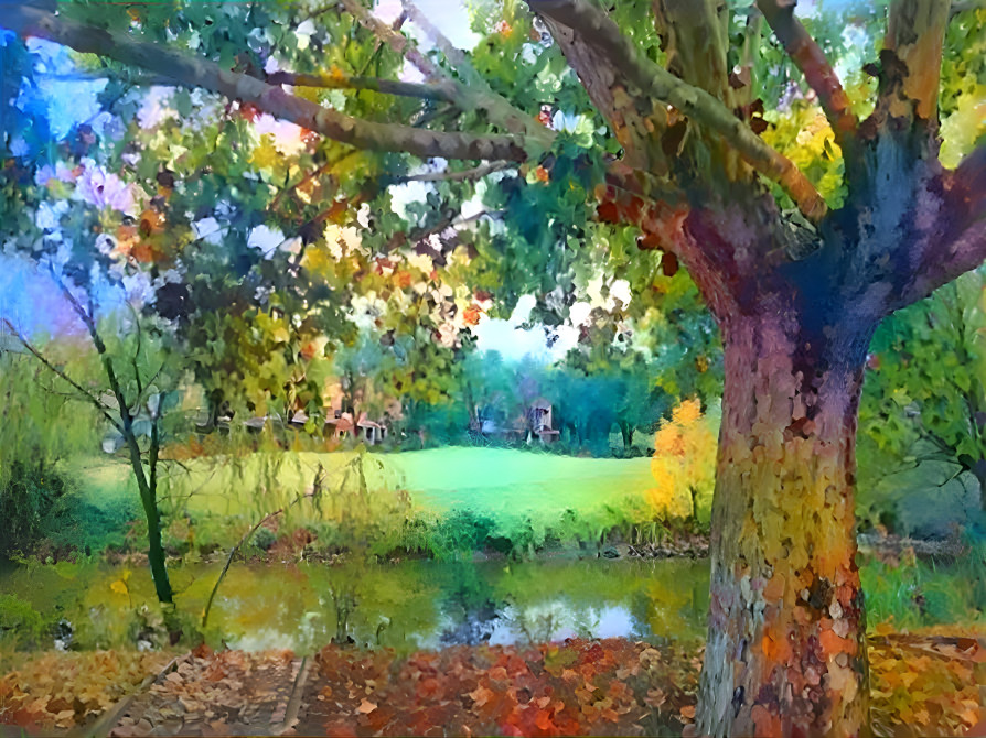 tree by the river