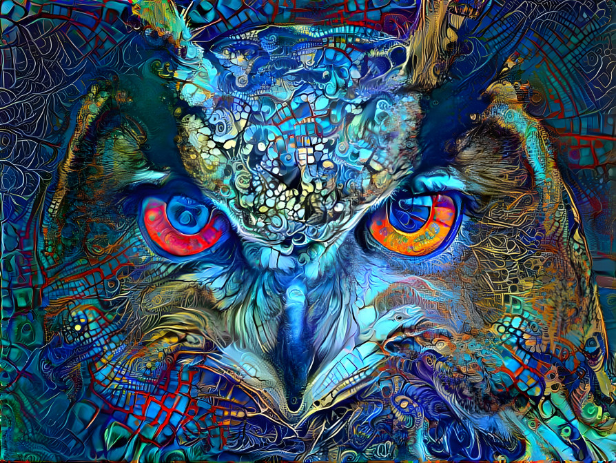 Magical Owl 