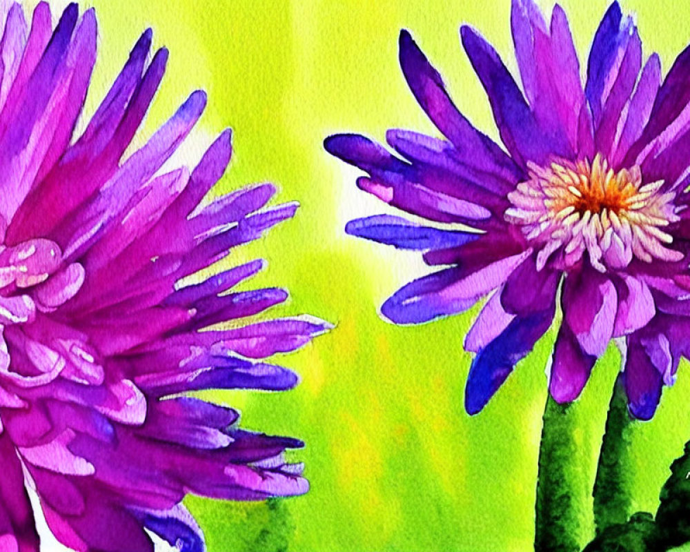 Colorful Watercolor Painting: Purple Daisies on Green and Yellow Background