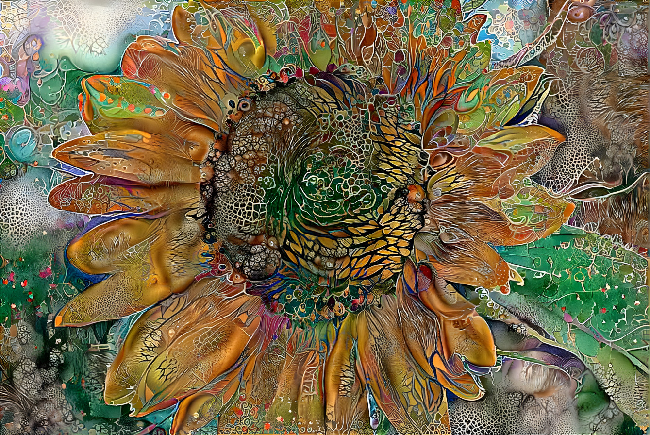 Sunflower Dreaming