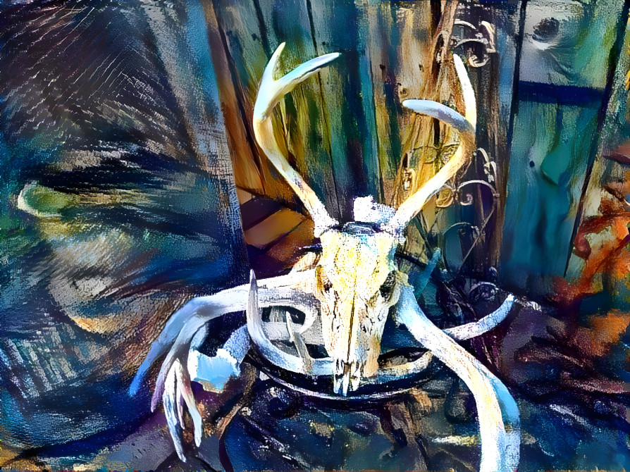 Deer Skull 
