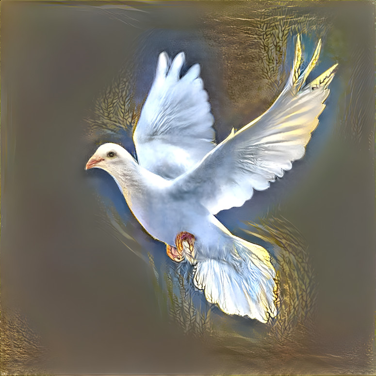 The White Bird 