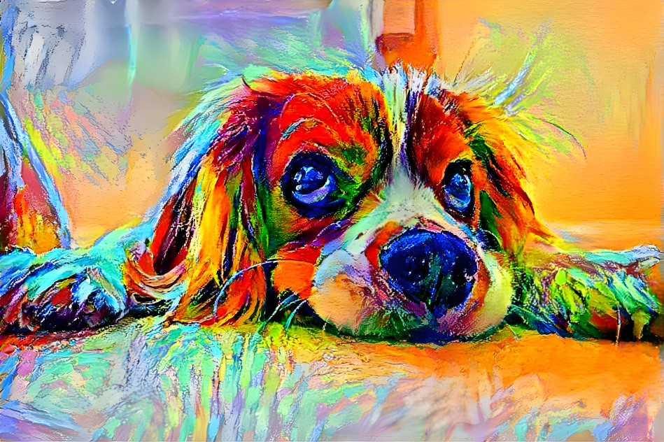 colored dog