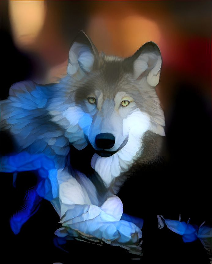 Wolf blue 