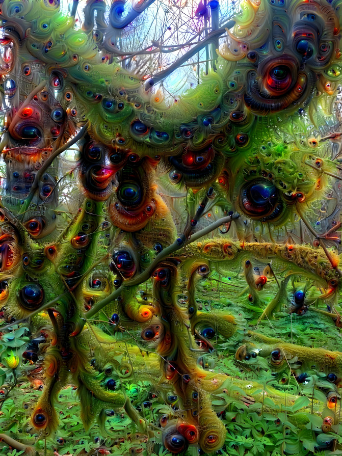 The Moss Has Eyes