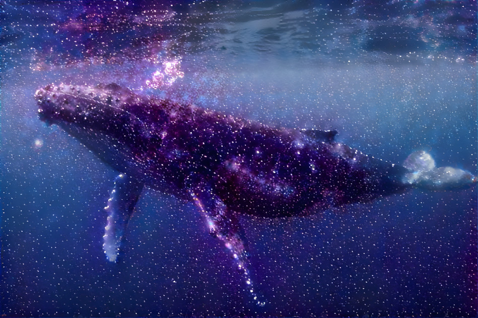 Starry Whale