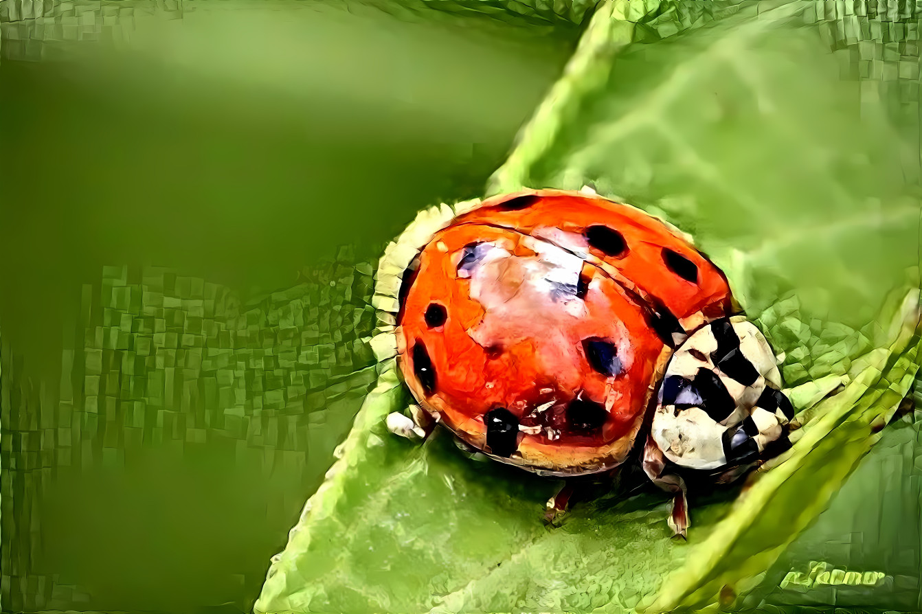 lonely ladybug