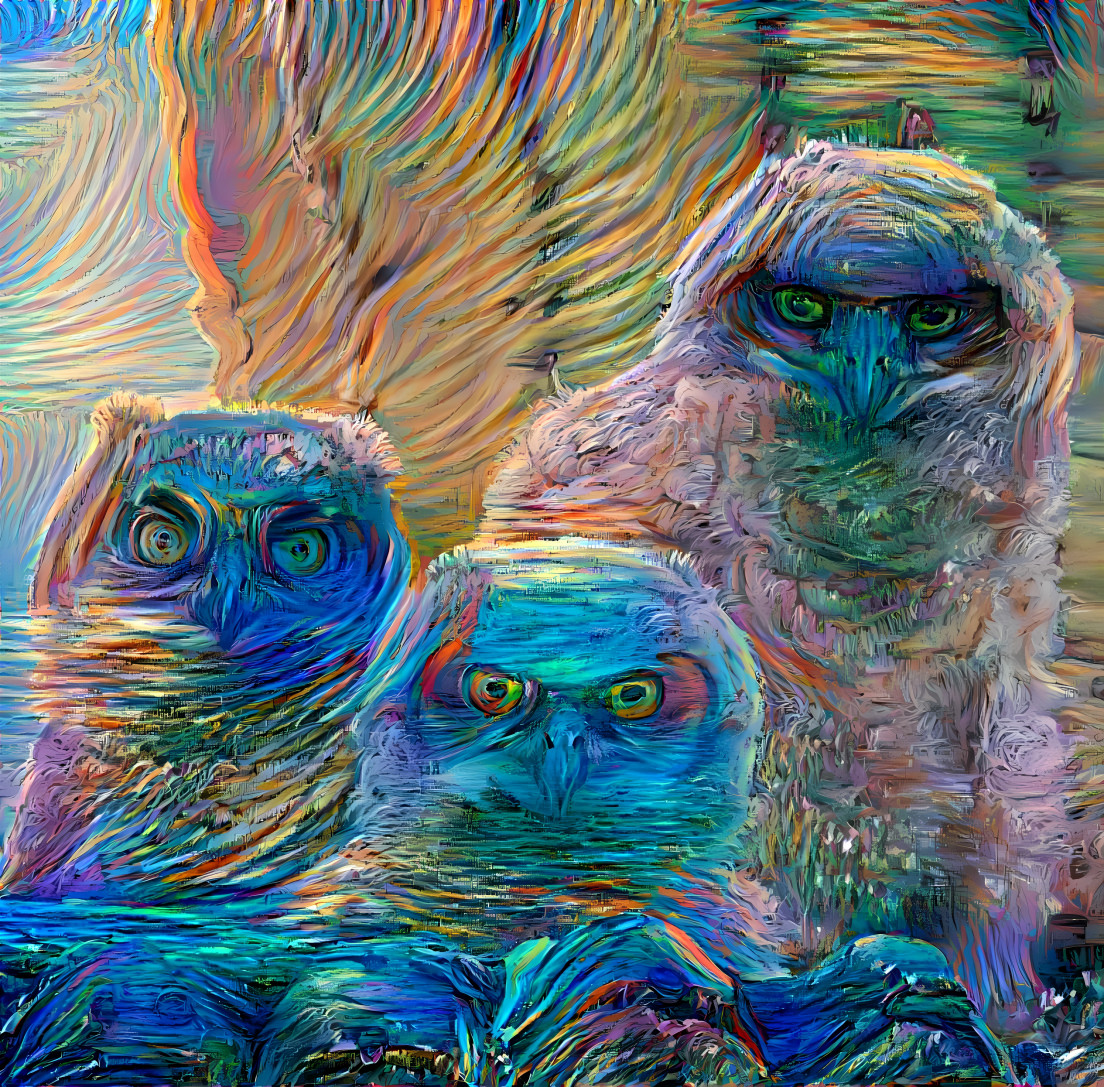 mystic owls