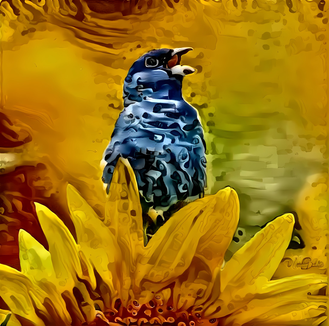 bird & sunflower
