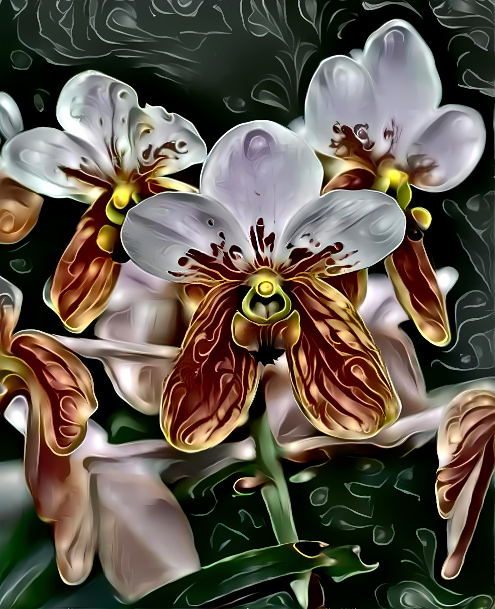 special orchid