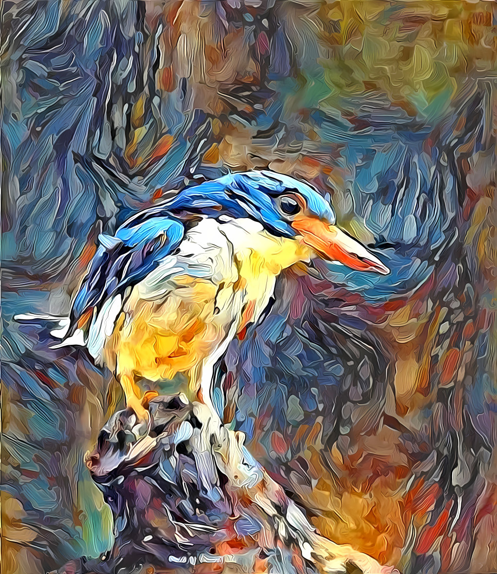 blue kingfisher