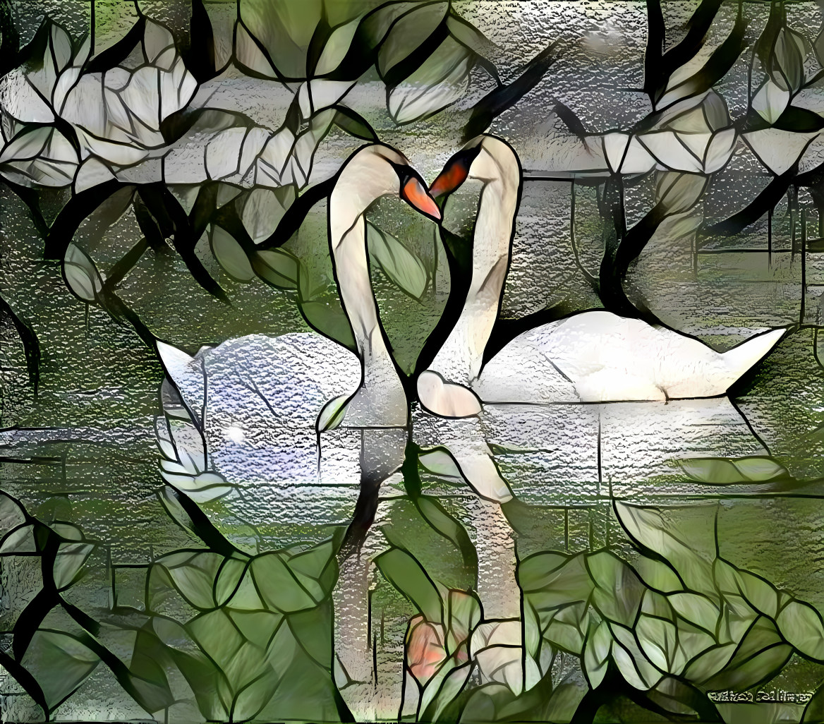 a couple swan