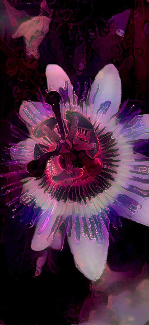 Purple power Passion flower