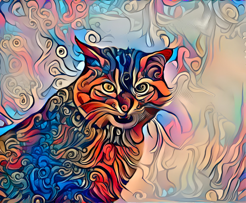A Colorful Cat