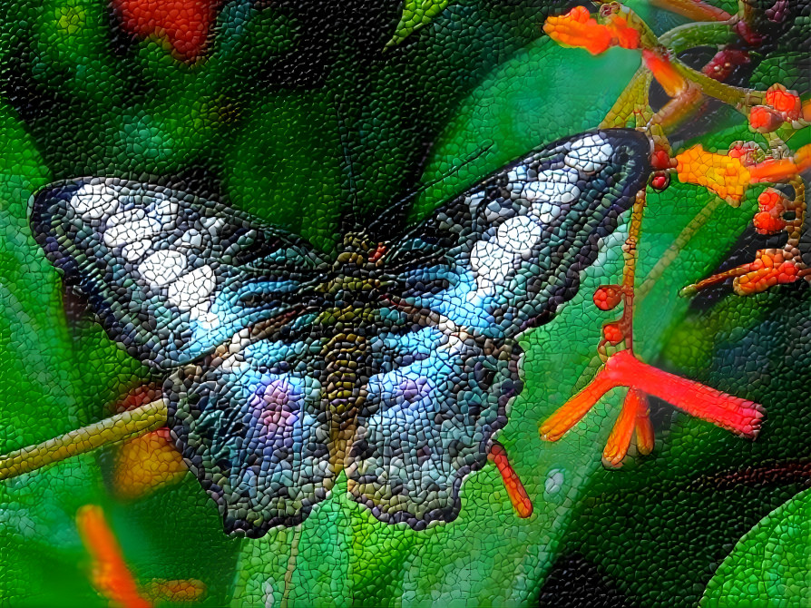 Mosaic Butterfly