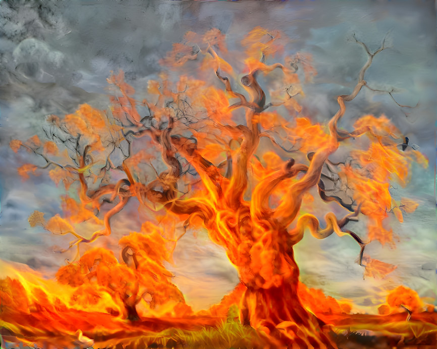 Tree Of Fire