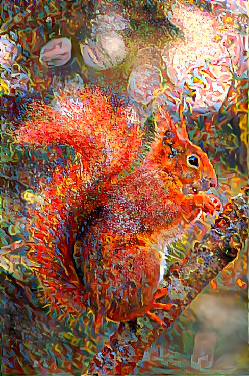 Red Squirrel 