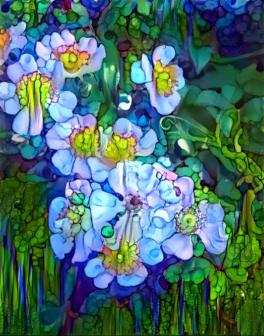 Dream flowers