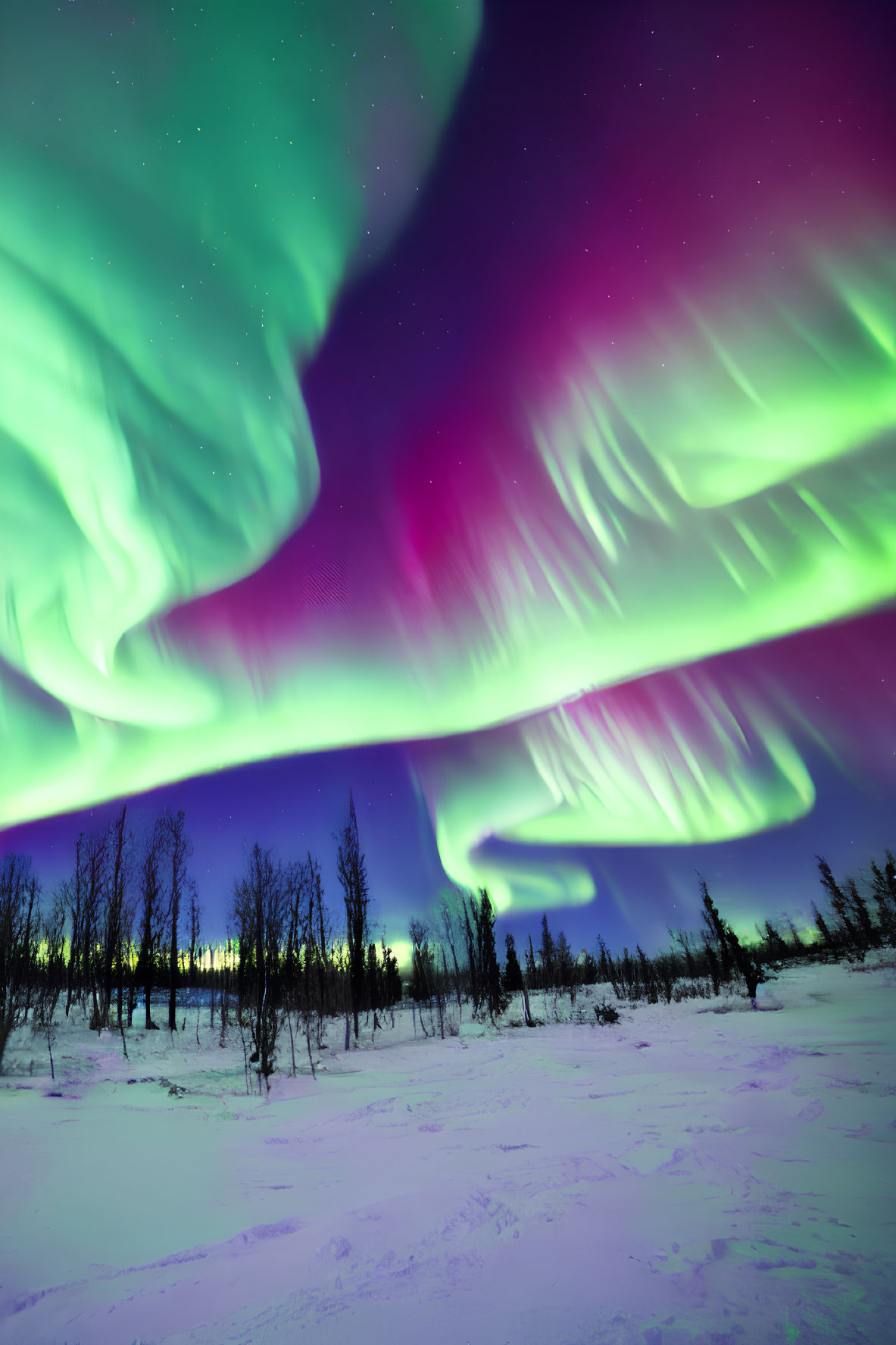 Colorful Aurora Borealis Illuminates Snowy Landscape