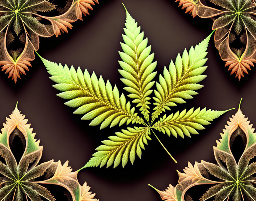 Detailed Digital Art: Central Green and Yellow Leaf with Ornate Fractal-like Designs on Dark Background