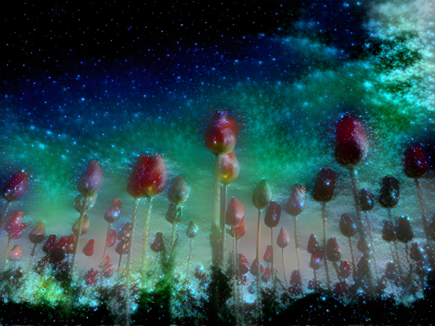 Space Poppies 