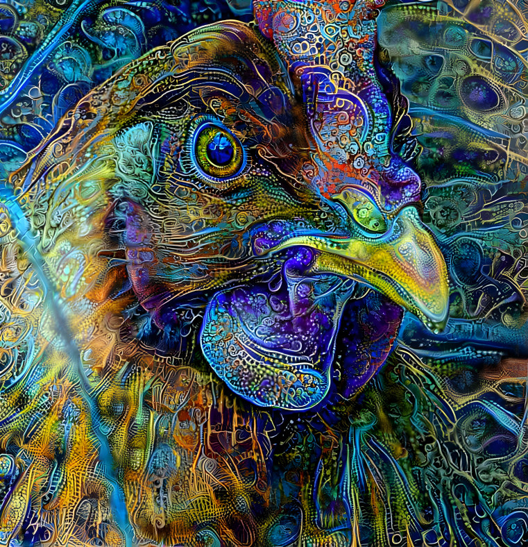 Chicken Art