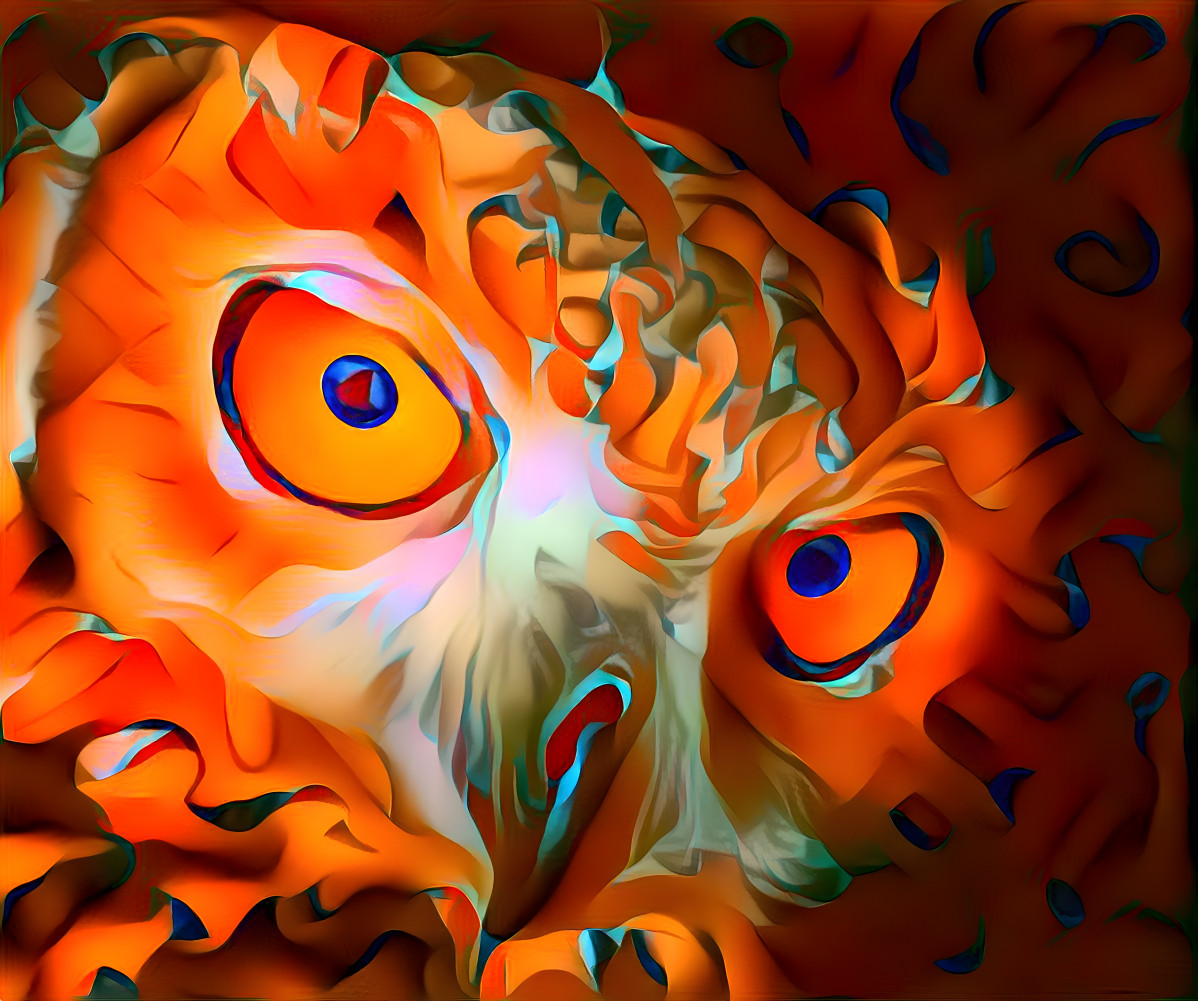 Orange owl