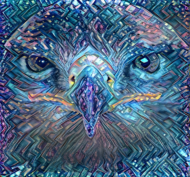 Hawk eye