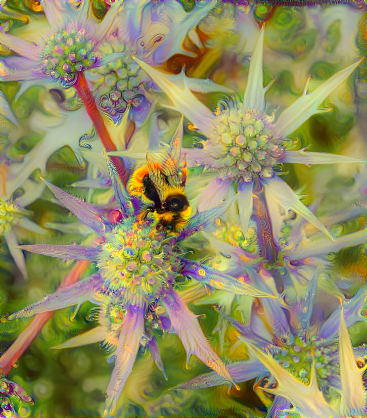 Sea holly and a bee