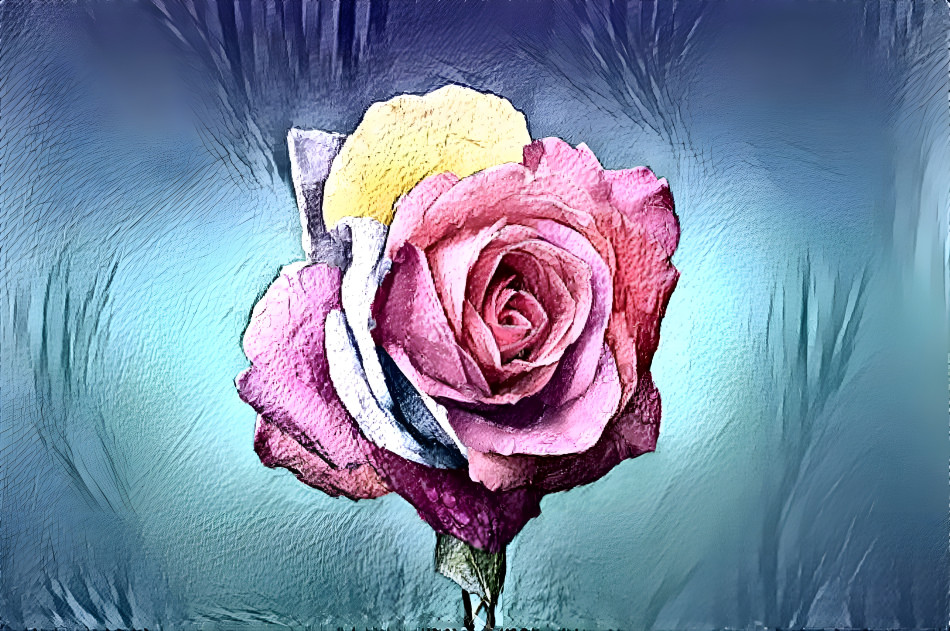 Watercolour rose