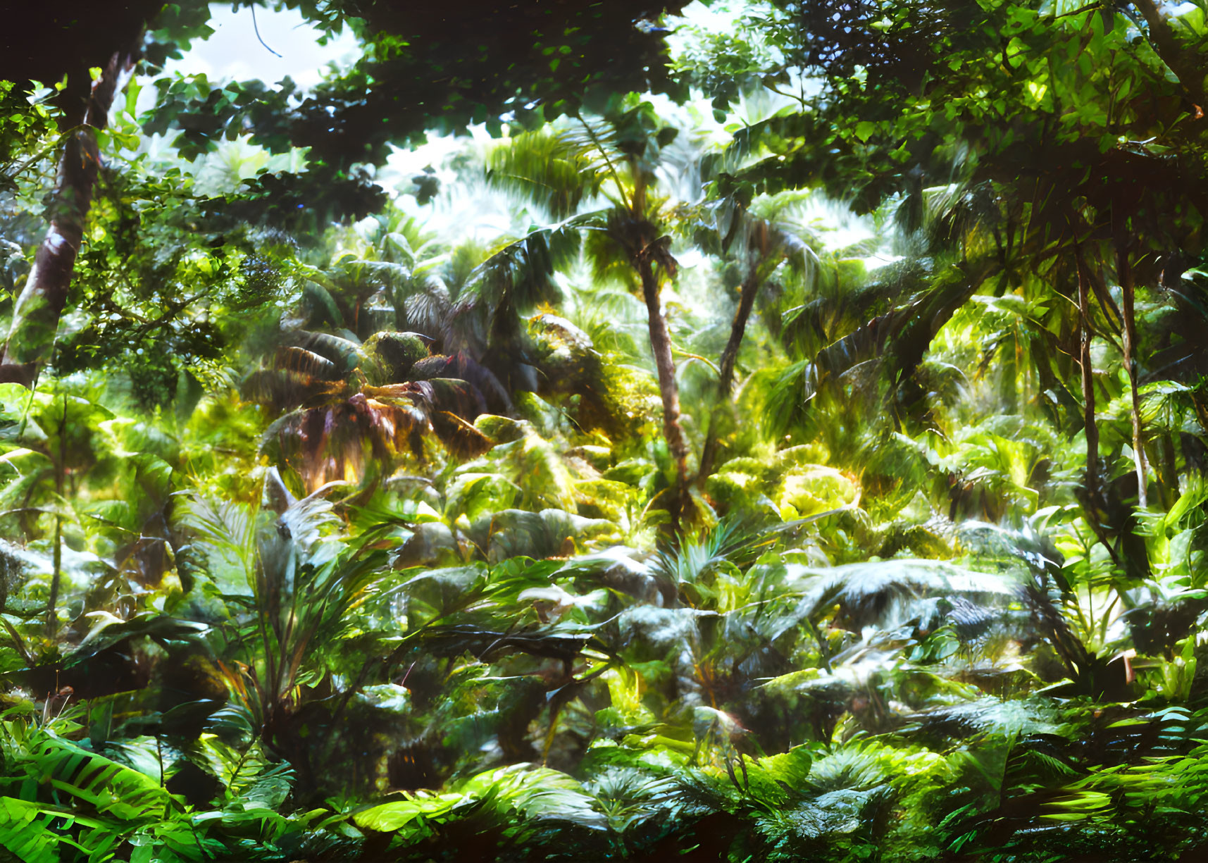 Vibrant Tropical Rainforest Foliage and Plants