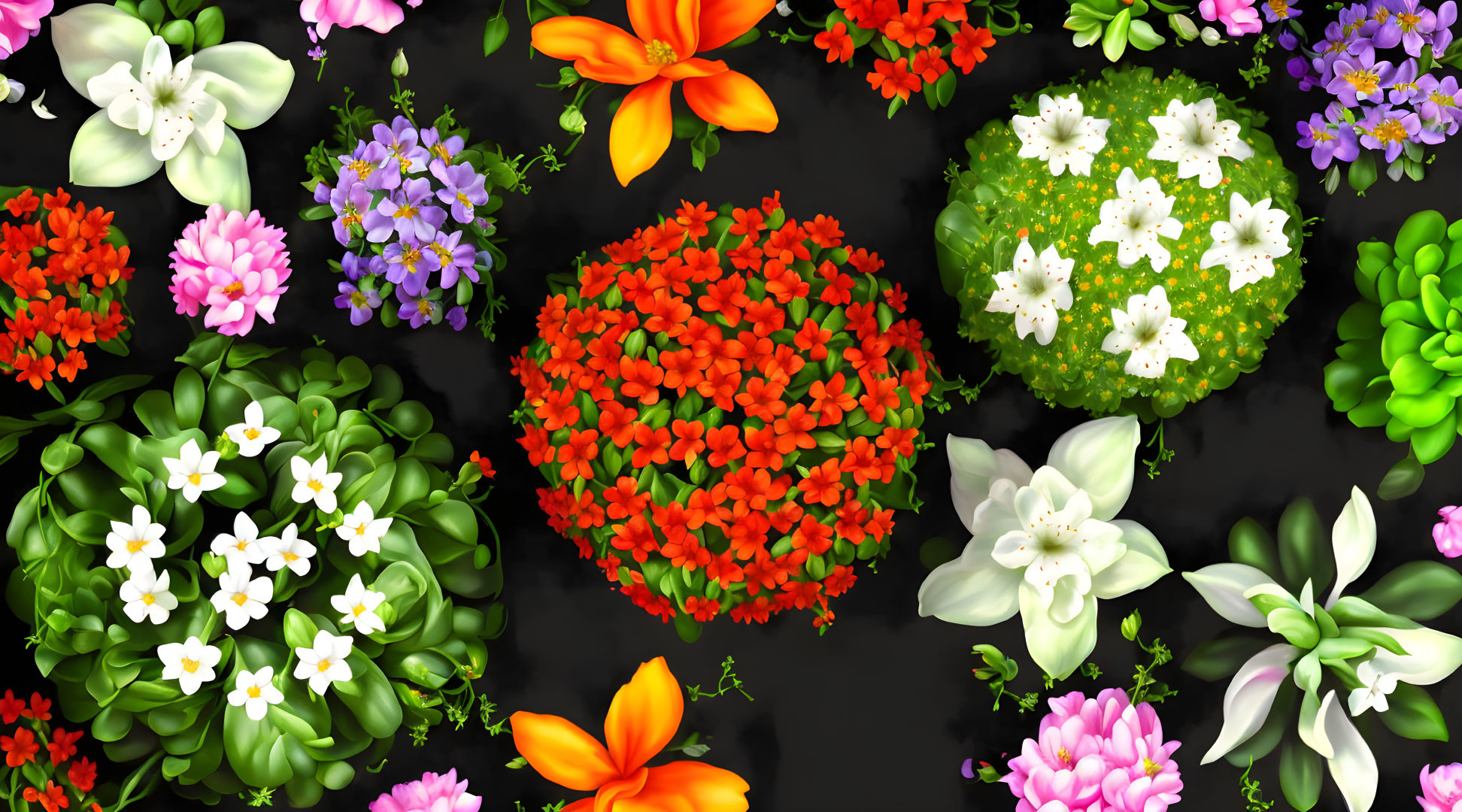 Colorful Flower Clusters on Dark Background: Detailed and Vibrant Blooms