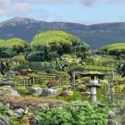 Japanese Garden with Bonsai Trees, Pond, Lanterns & Mount Fuji