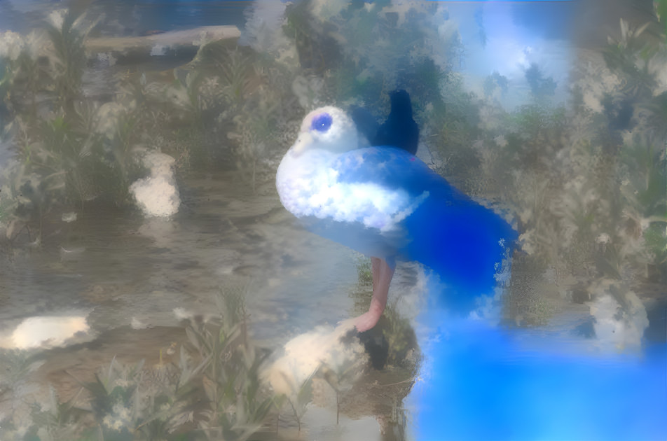 Blue Duck near water with with some clouds