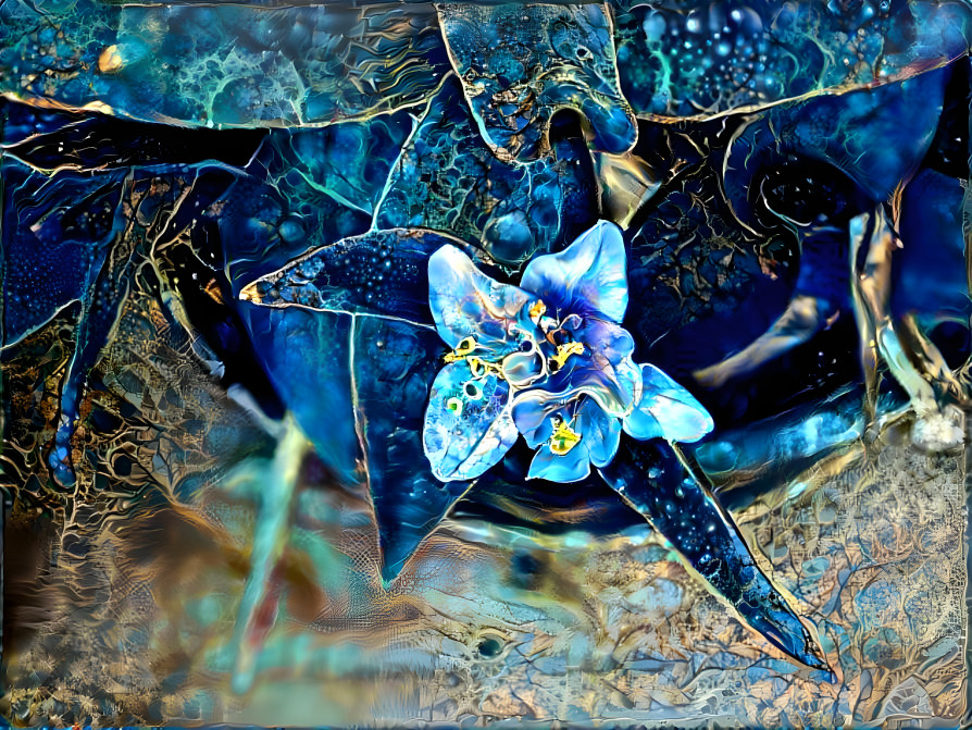 Blue & floral