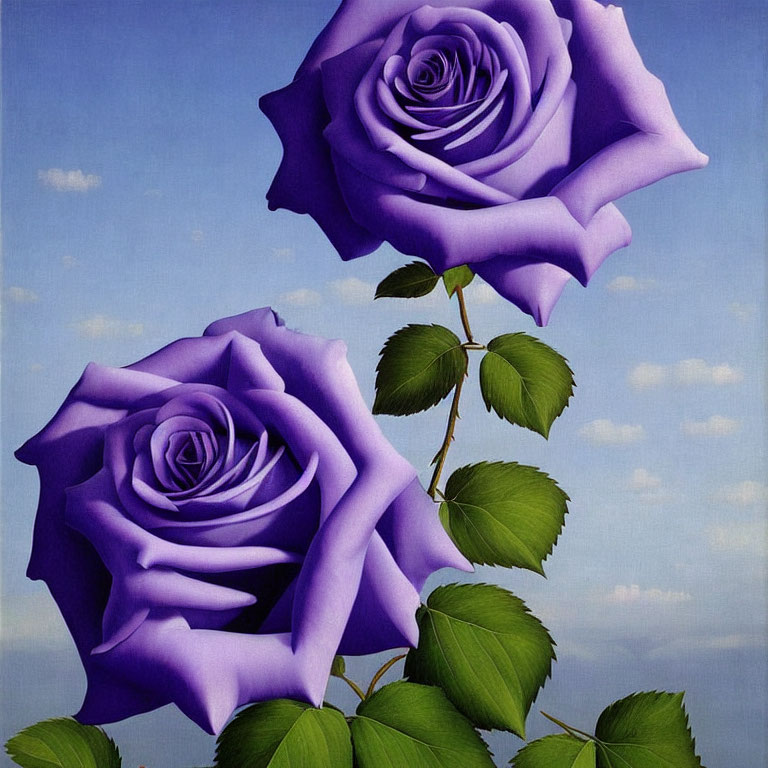 Vibrant purple roses with green leaves on sky-blue backdrop