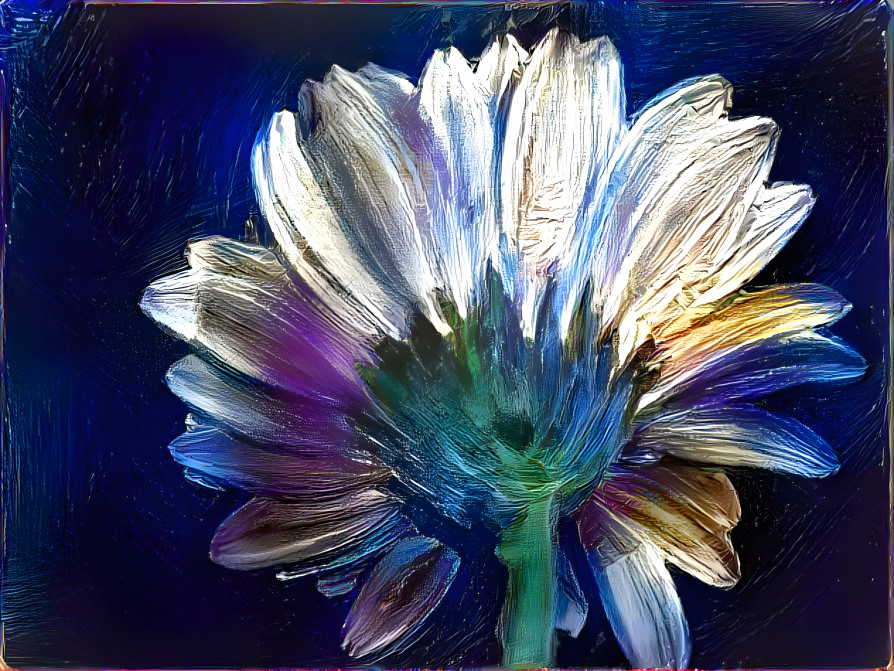 Flower on blue