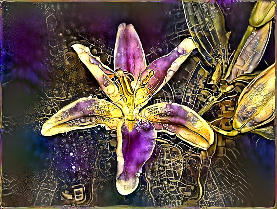 purple Lily