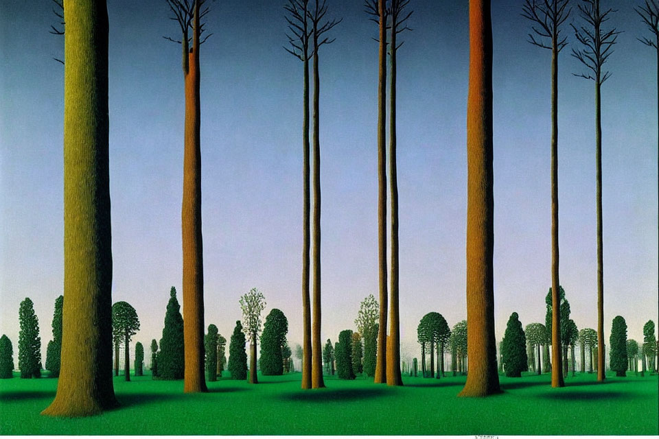 Surreal forest with tall trees against clear sky
