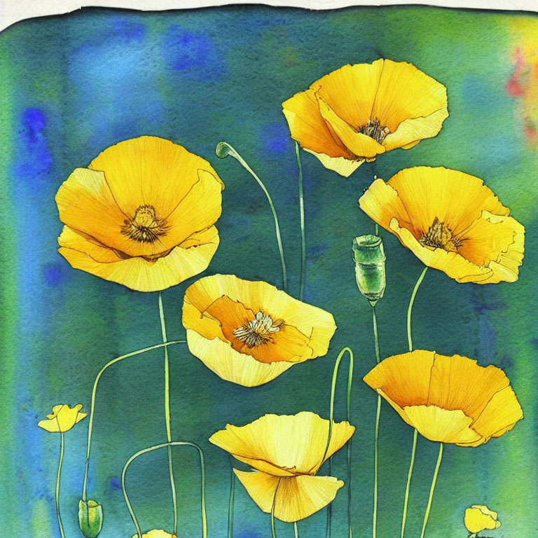 Vibrant yellow poppies watercolor illustration on blue background