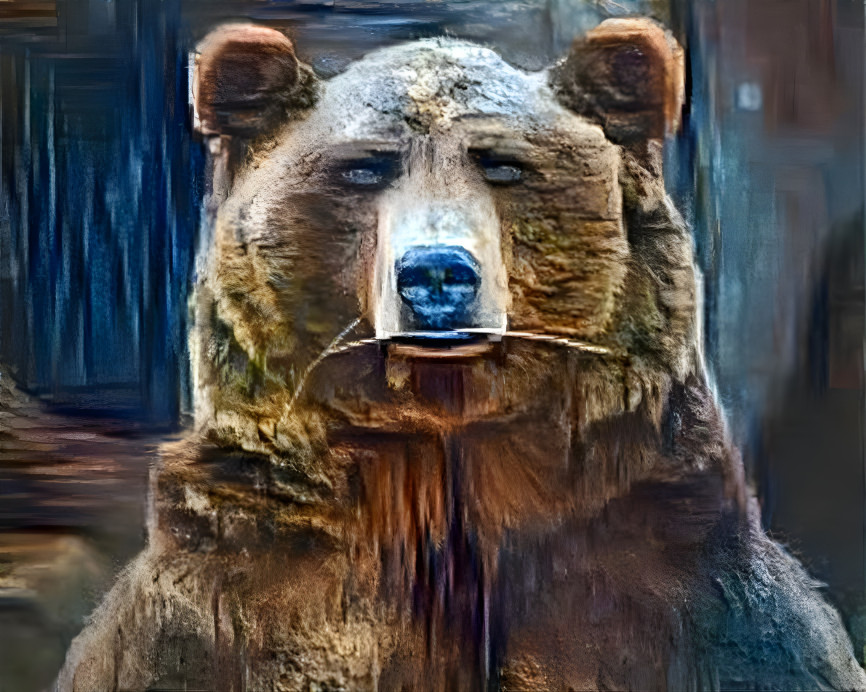 bear boy 