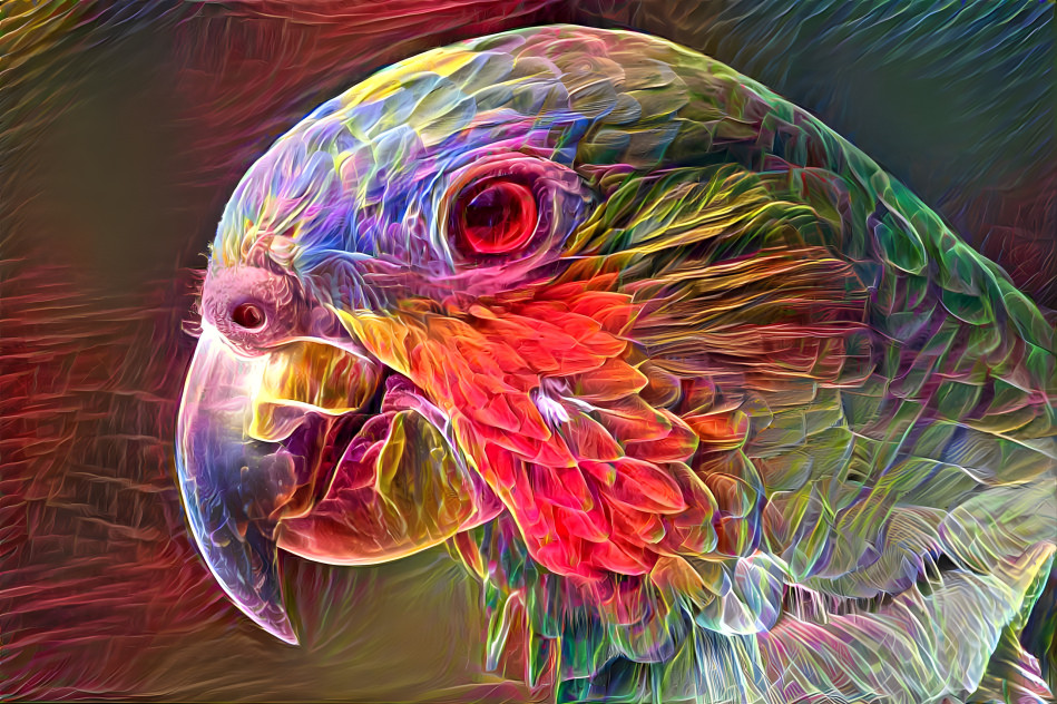 Parrot Macaw Head