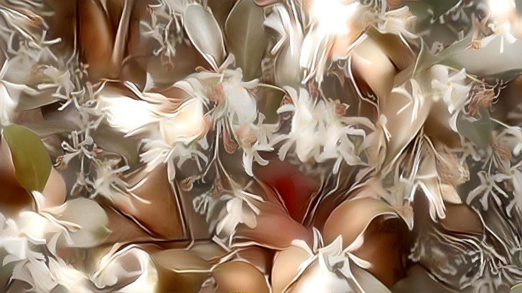 Flowers in shades of brown and white