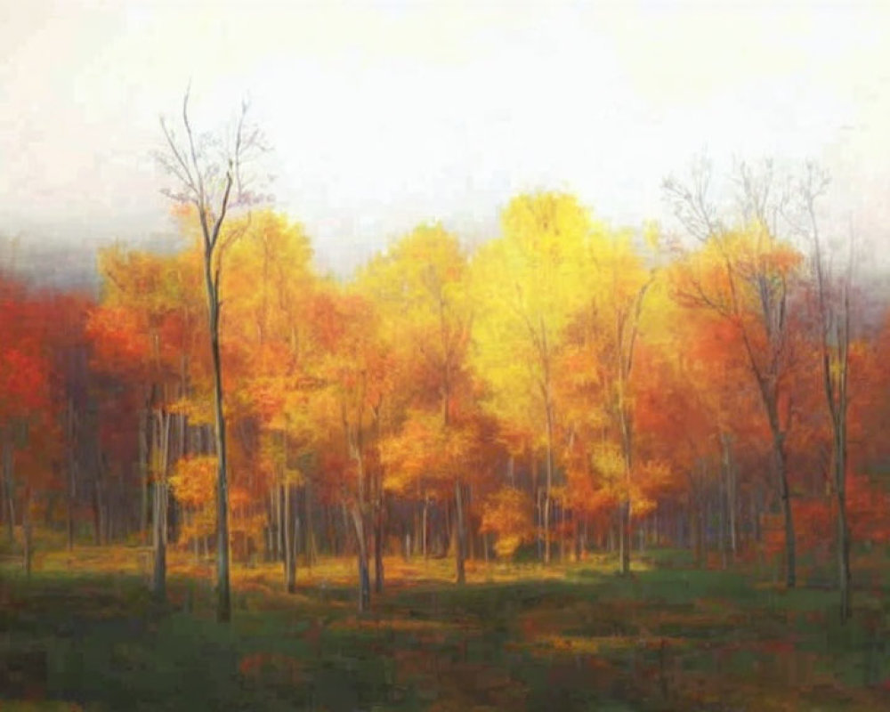 Autumn Forest Scene with Yellow, Orange, and Red Trees in Mist