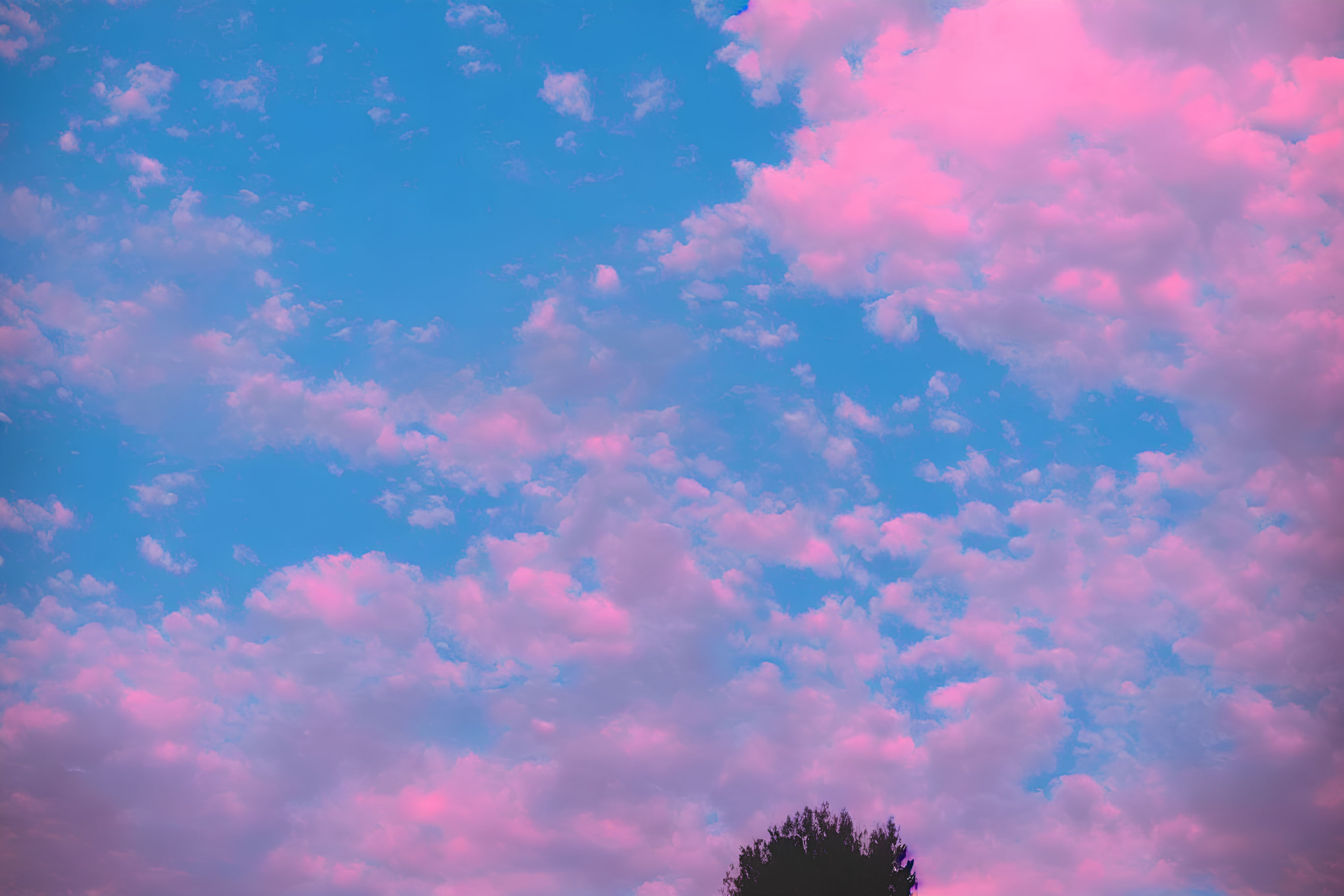 Colorful pink and blue sky with fluffy clouds and lone tree top.