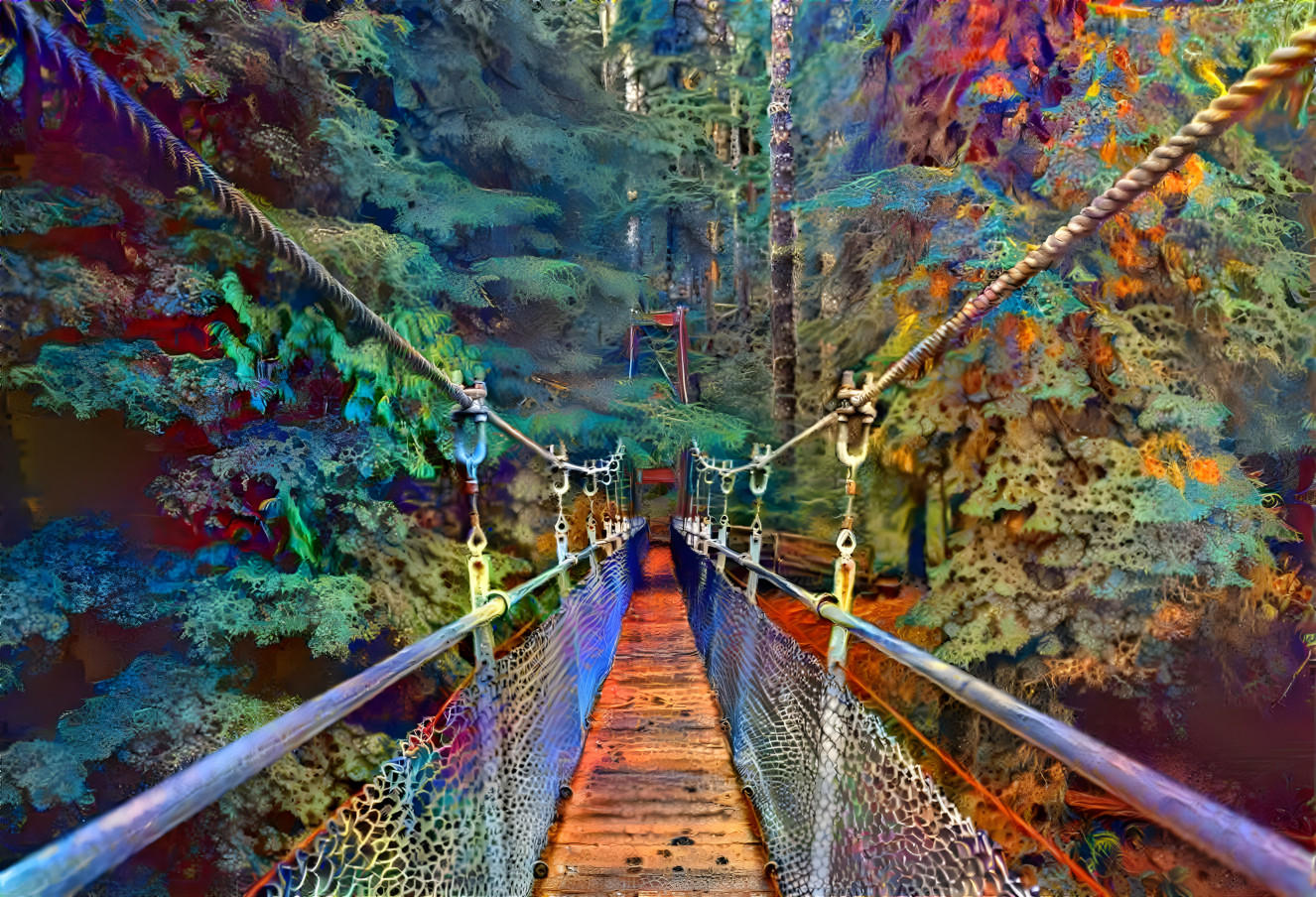 bridge to fantasy wood