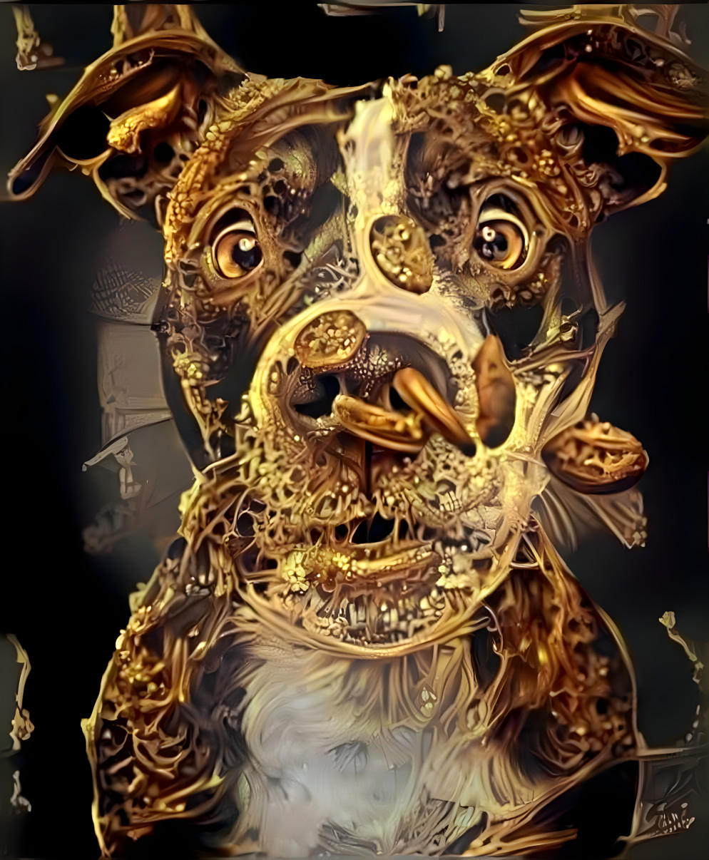 gold dog