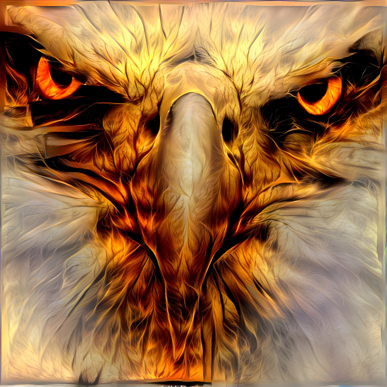 eagle  eye