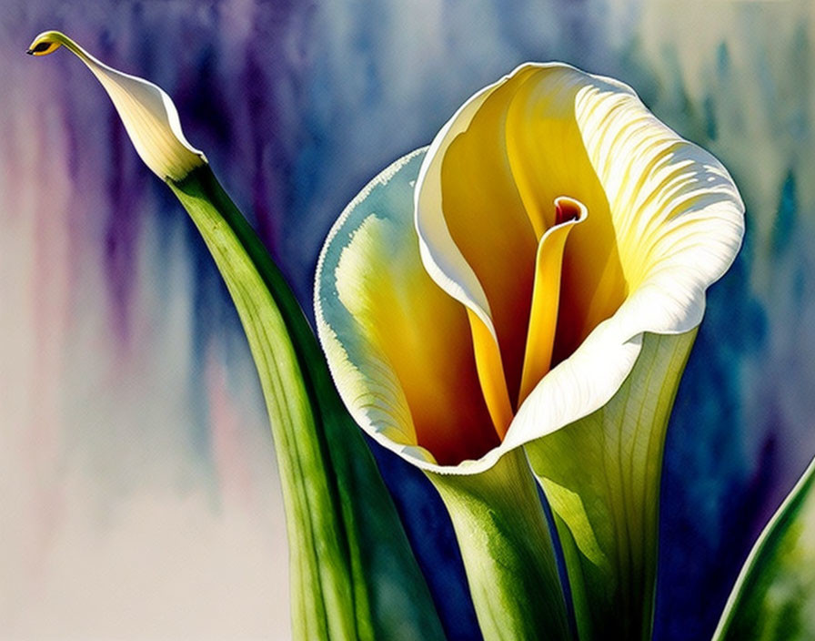 Close-Up of Yellow and White Calla Lilies on Soft Background