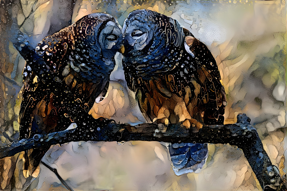 Kissing Owls 2
